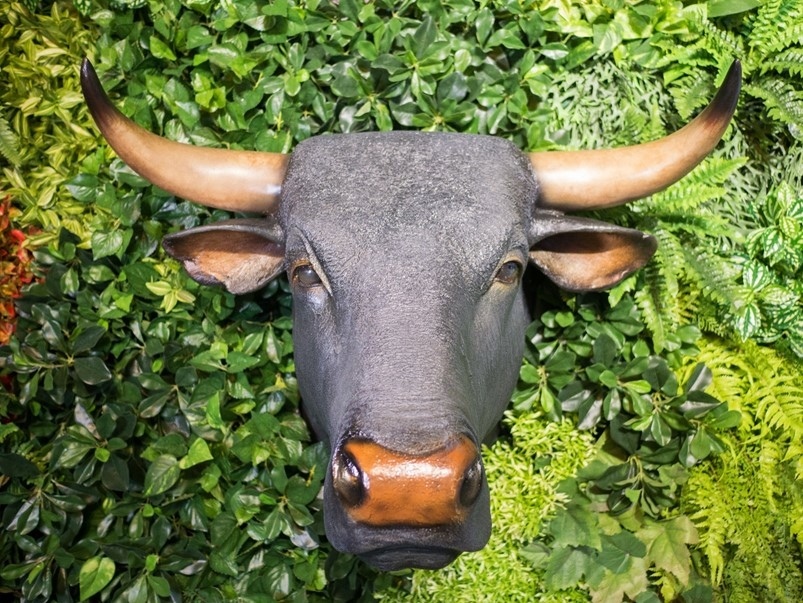 【台北東區】畜聚燒肉單點有品質!喝酒吃肉一次滿足,東區燒肉推薦、東區美食推薦