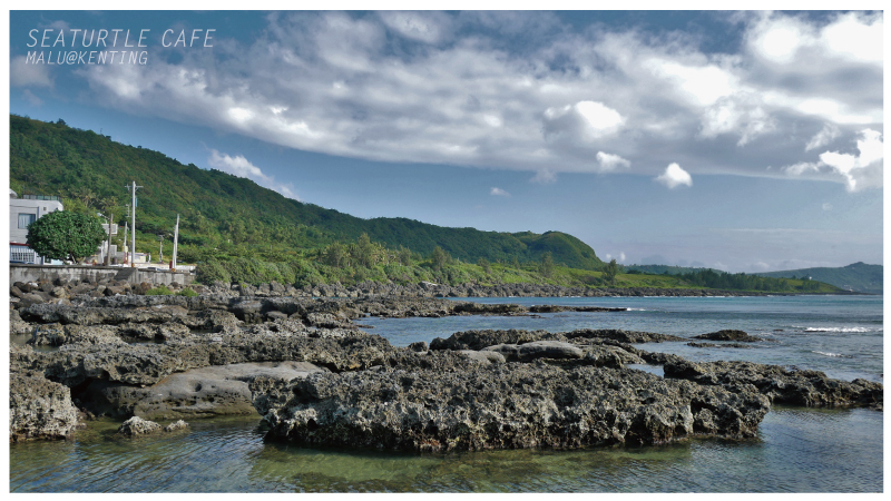 海龜咖啡-29