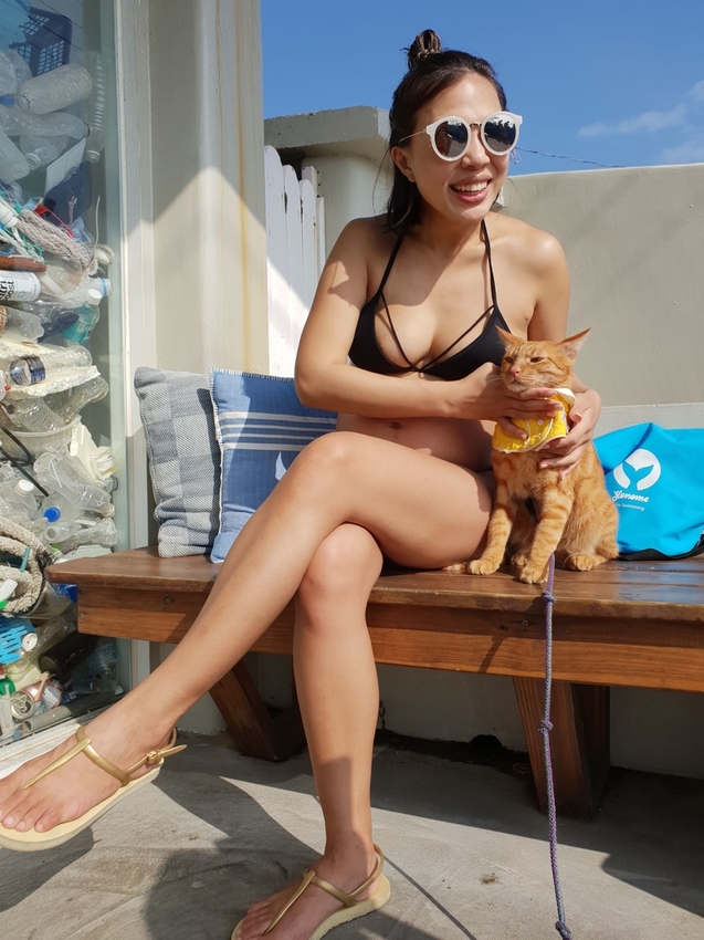 240646.jpg - 【屏東.恆春】望海咖啡推薦。萬里桐。海龜咖啡友善寵物咖啡廳