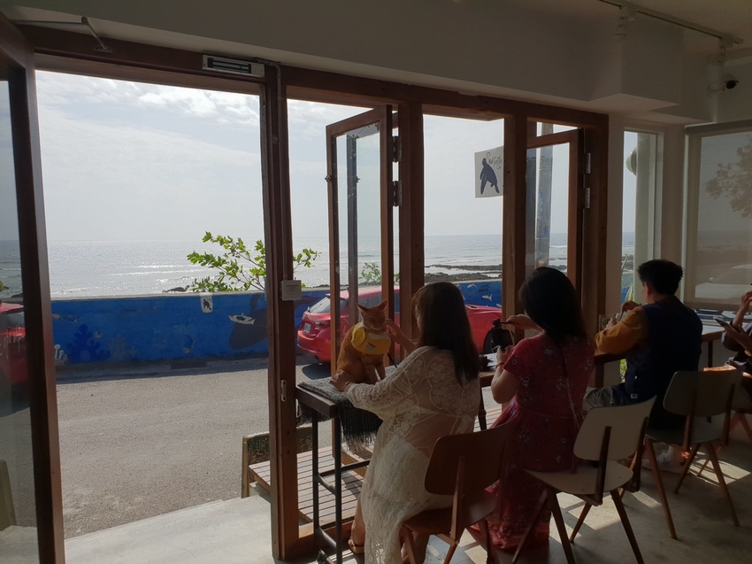 240635.jpg - 【屏東.恆春】望海咖啡推薦。萬里桐。海龜咖啡友善寵物咖啡廳