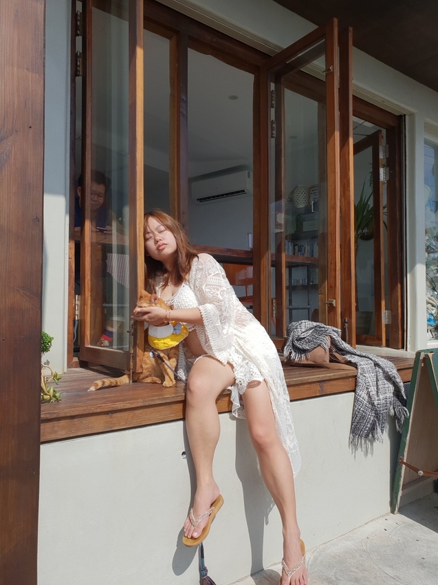 240643.jpg - 【屏東.恆春】望海咖啡推薦。萬里桐。海龜咖啡友善寵物咖啡廳