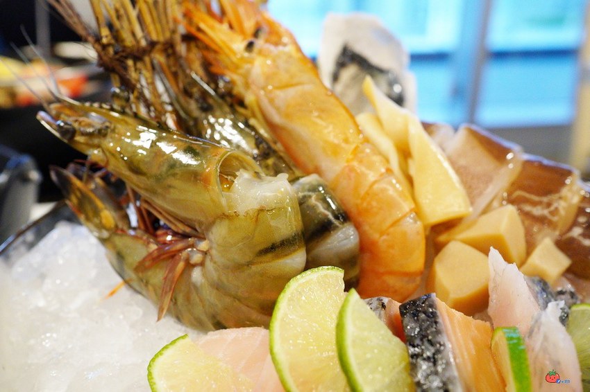 樹林秀泰美食推薦 築間幸福鍋物 火鍋