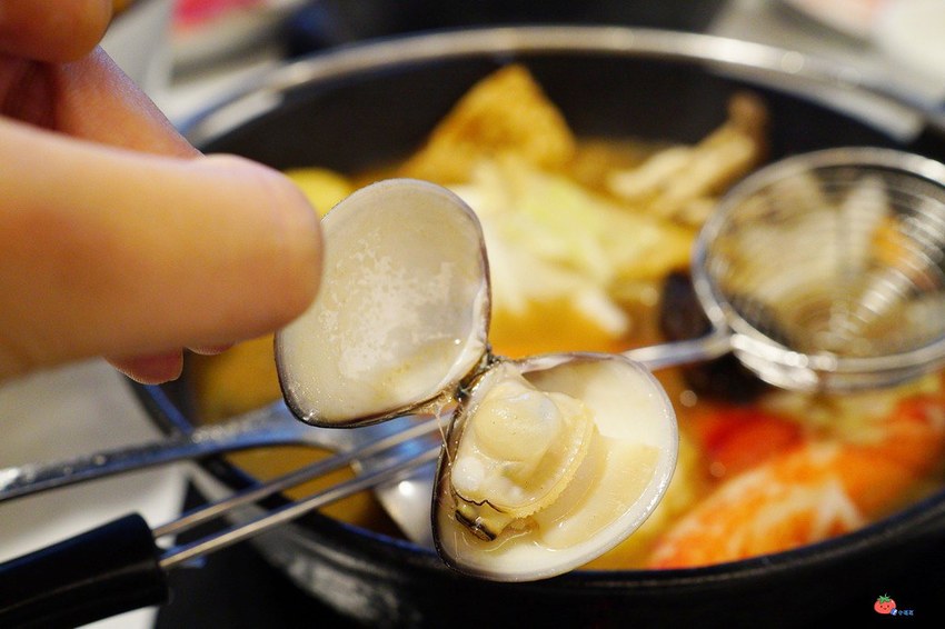 樹林秀泰美食推薦 築間幸福鍋物 火鍋