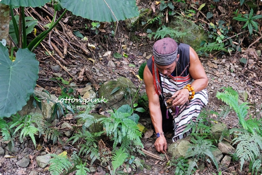 台中谷關旅遊二日行程推薦～美食、景點、還有原住民獵人學校體驗課程，谷關懶人包看這篇！
