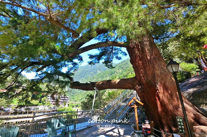 台中谷關旅遊二日行程推薦～美食、景點、還有原住民獵人學校體驗課程，谷關懶人包看這篇！