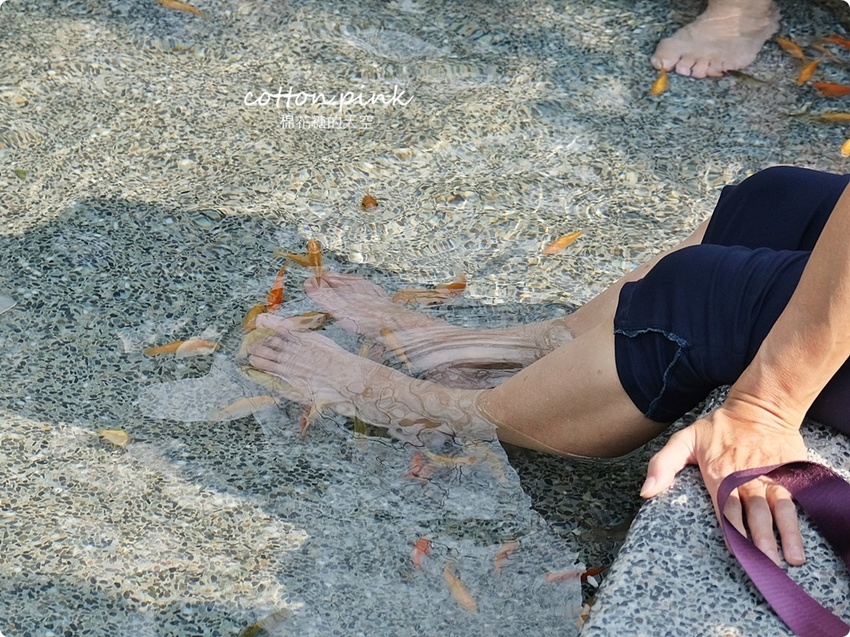 台中谷關旅遊二日行程推薦～美食、景點、還有原住民獵人學校體驗課程，谷關懶人包看這篇！