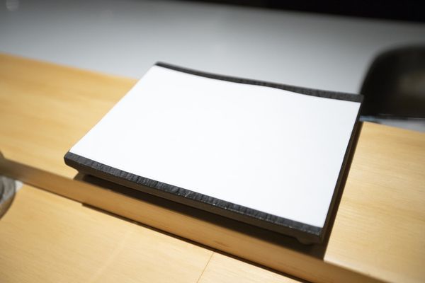 牡丹 天ぷら - 16