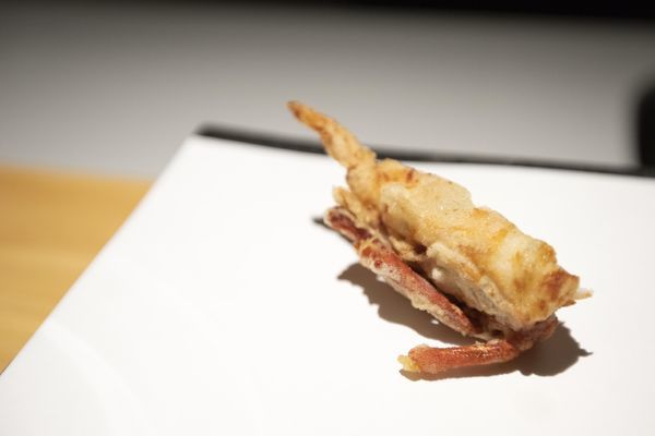 牡丹 天ぷら - 29