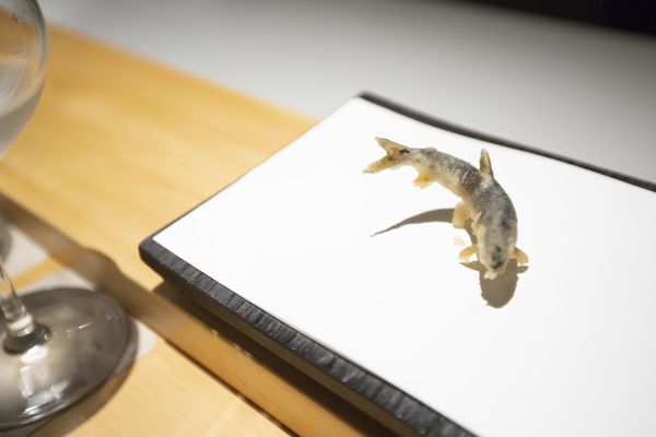 牡丹 天ぷら - 24