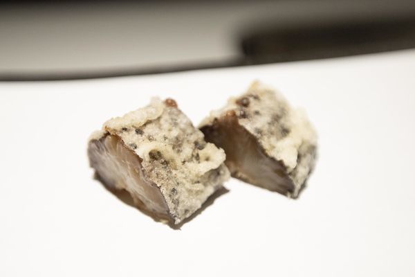 牡丹 天ぷら - 19