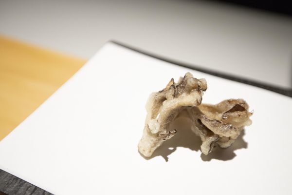 牡丹 天ぷら - 13