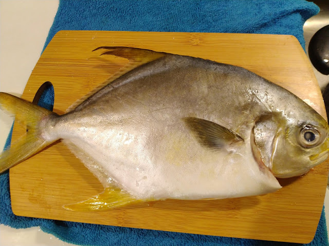 【Hi-Q黃金鯧】Hi-Q fresh-褐藻醣膠餵養的高品質海鮮,不需處理直接解凍就可直接料理,簡單料理就是人間美味@東吃東吃到處吃