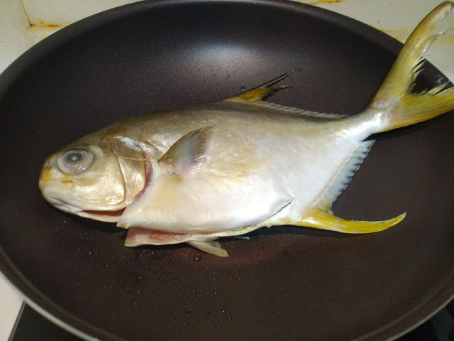 【Hi-Q黃金鯧】Hi-Q fresh-褐藻醣膠餵養的高品質海鮮,不需處理直接解凍就可直接料理,簡單料理就是人間美味@東吃東吃到處吃