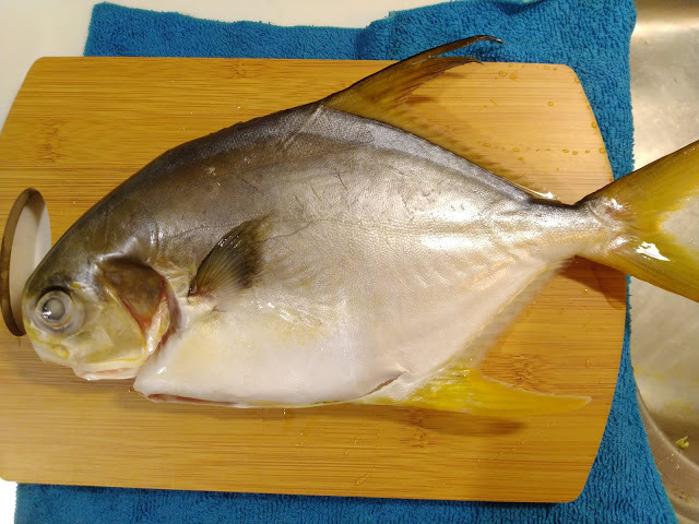 【Hi-Q黃金鯧】Hi-Q fresh-褐藻醣膠餵養的高品質海鮮,不需處理直接解凍就可直接料理,簡單料理就是人間美味@東吃東吃到處吃