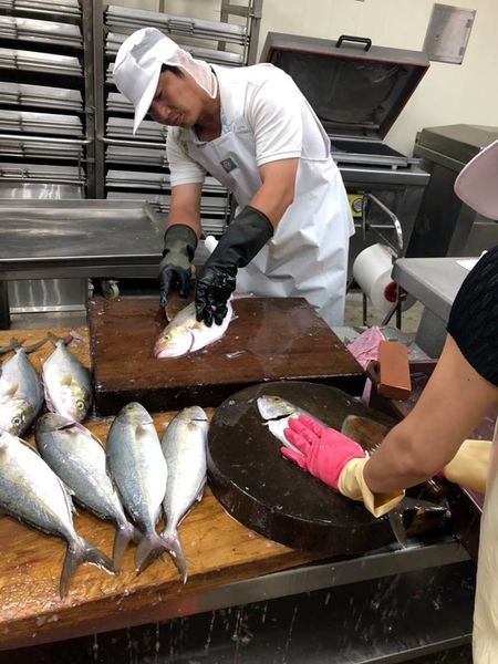 44043482_2050460721671582_3331362542437007360_n