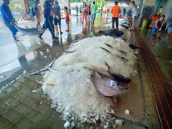 68582950_497797327662630_5219256232468021248_n