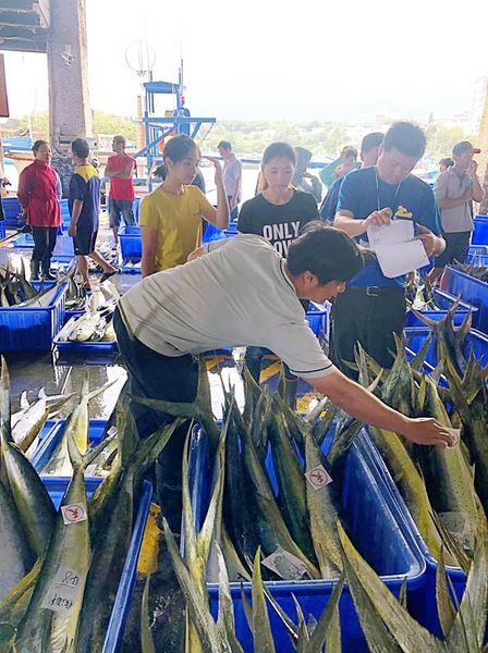 67869367_433304133948225_938195920313384960_n