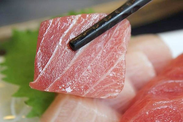 68570906_2351694365158436_8653413792023052288_n