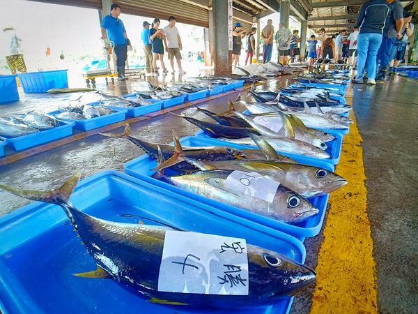 67924166_1395218213949328_4324077386036412416_n