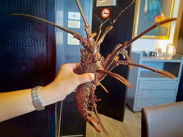 67947903_289362618598515_2870194152765652992_n