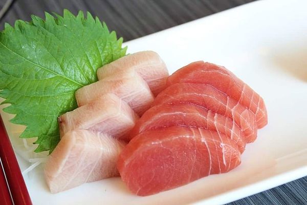 68478582_375034559851910_5398196814971142144_n