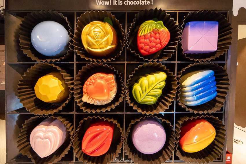 南投埔里景點 妮娜巧克力夢想城堡,超美的城堡搭上萬聖節氣氛讓人瘋狂拍照,南投一日遊景點