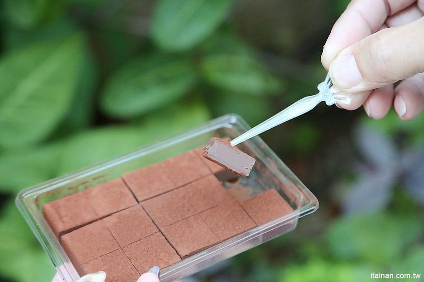 宅配美食伴手禮|精品巧克力『CONAS CHOCOLATE妮娜巧克力』榮獲世界巧克力大賽的好吃手工巧克力!浪漫情人節禮、新春年節送禮首選! - 台南好Food遊