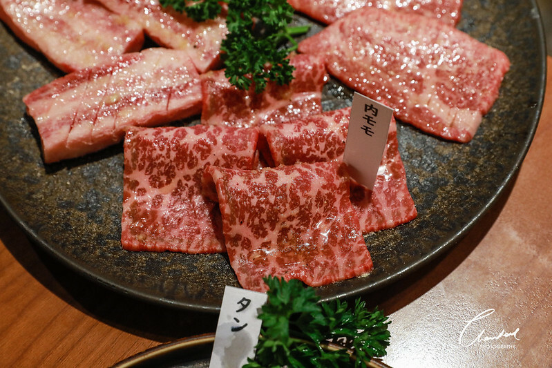 1J6A9773-2拷貝-2 拷貝