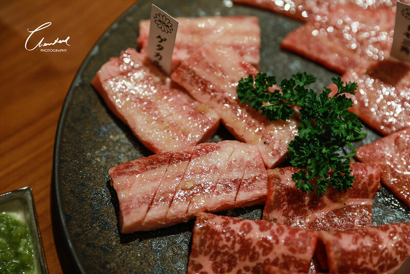 1J6A9777-2拷貝-2 拷貝