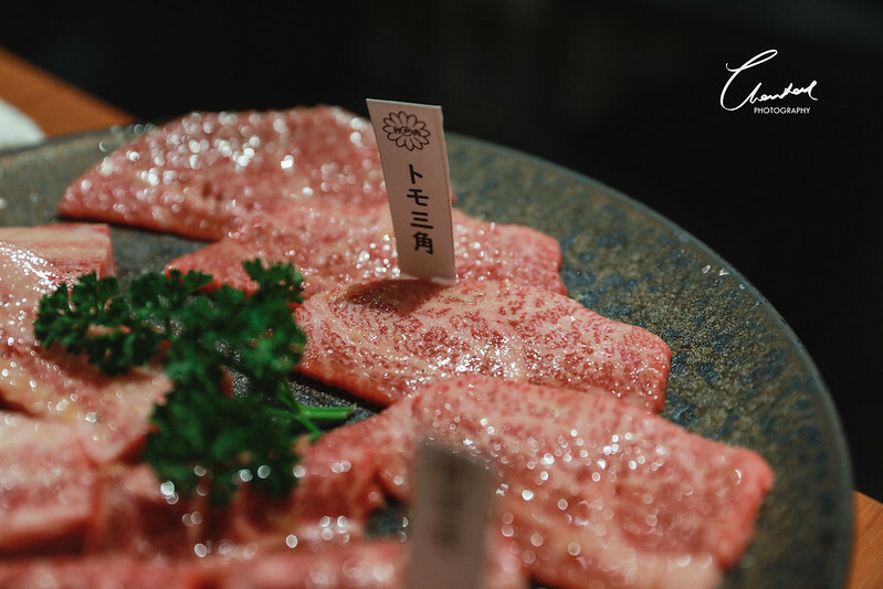 1J6A9779-2拷貝-2 拷貝