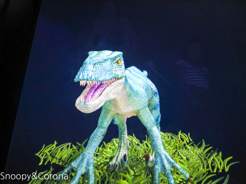 【台中景點】台中最新親子景點｜喜晶A光學觀光工廠～來當恐龍訓練師、DIY手作專屬的VR虛擬實境眼鏡