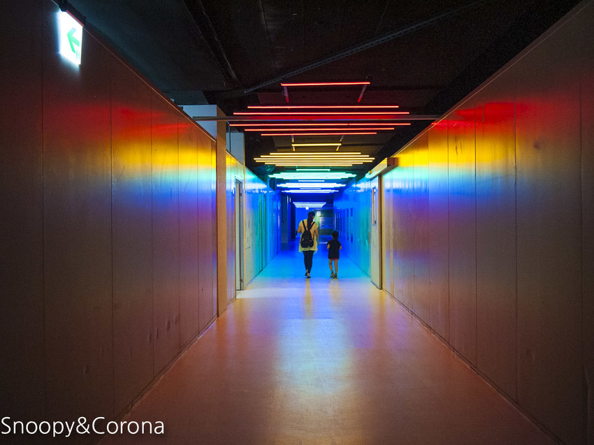 【台中景點】台中最新親子景點｜喜晶A光學觀光工廠～來當恐龍訓練師、DIY手作專屬的VR虛擬實境眼鏡