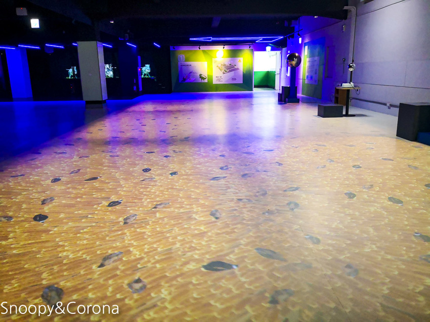 【台中景點】台中最新親子景點｜喜晶A光學觀光工廠～來當恐龍訓練師、DIY手作專屬的VR虛擬實境眼鏡