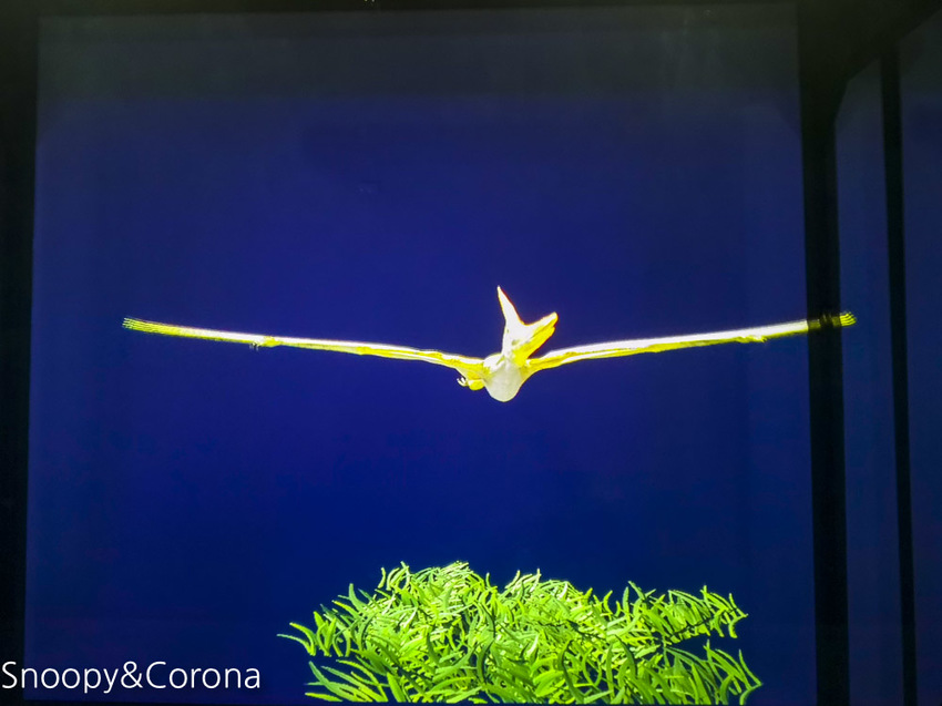 【台中景點】台中最新親子景點｜喜晶A光學觀光工廠～來當恐龍訓練師、DIY手作專屬的VR虛擬實境眼鏡