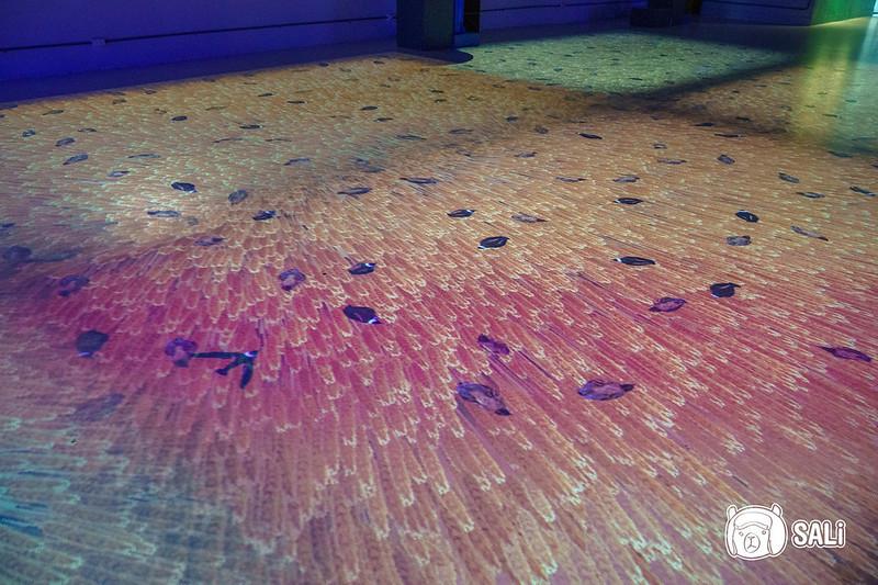 喜晶Ａ參觀過程-25