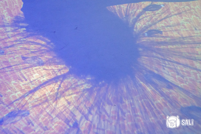 喜晶Ａ參觀過程-3