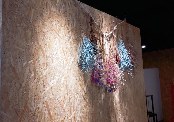 20170901_113848_mh1504316022840.jpg 20170901_113848_mh1504316022840.jpg