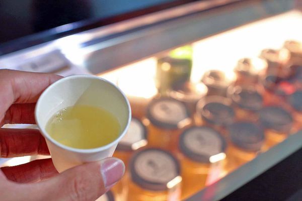 【板橋美食】8more白木耳專賣店-豐富植物性膠原蛋白、清爽無負擔的好飲品