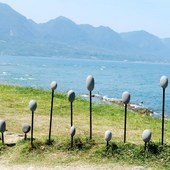 P5130143.JPG P5130143.JPG