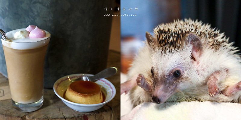 LEE café手作烘焙咖啡豆,LEE café手作烘焙咖啡豆菜單,台北咖啡館,台北買咖啡豆,手作布丁,新北市咖啡館,萬華咖啡廳,萬華咖啡館 @陳小可的吃喝玩樂