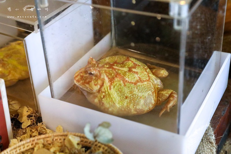 LEE café手作烘焙咖啡豆,LEE café手作烘焙咖啡豆菜單,台北咖啡館,台北買咖啡豆,手作布丁,新北市咖啡館,萬華咖啡廳,萬華咖啡館 @陳小可的吃喝玩樂