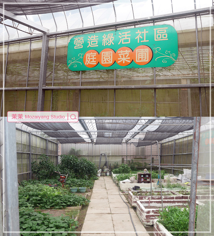 桃園旅遊 桃稻新屋趣 野Fun新屋 生態假期