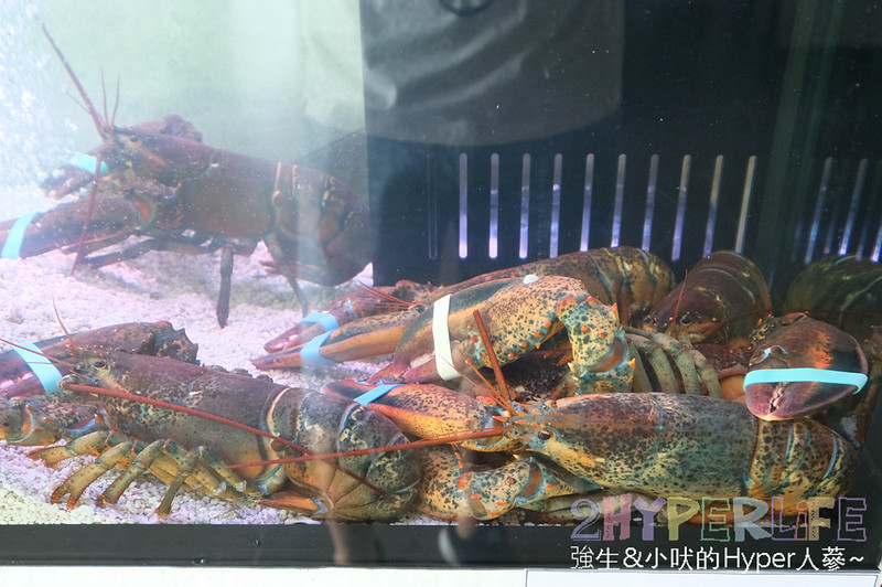 個人小火鍋,台中夜景餐廳推薦,台中東海火鍋推薦,台中沙鹿火鍋推薦,台中涮涮鍋,台中涮涮鍋推薦,台中火鍋,台中美食,崧shabushabu,崧價格,崧火鍋,東海夜市必吃,東海美食推薦 @強生與小吠的Hyper人蔘~