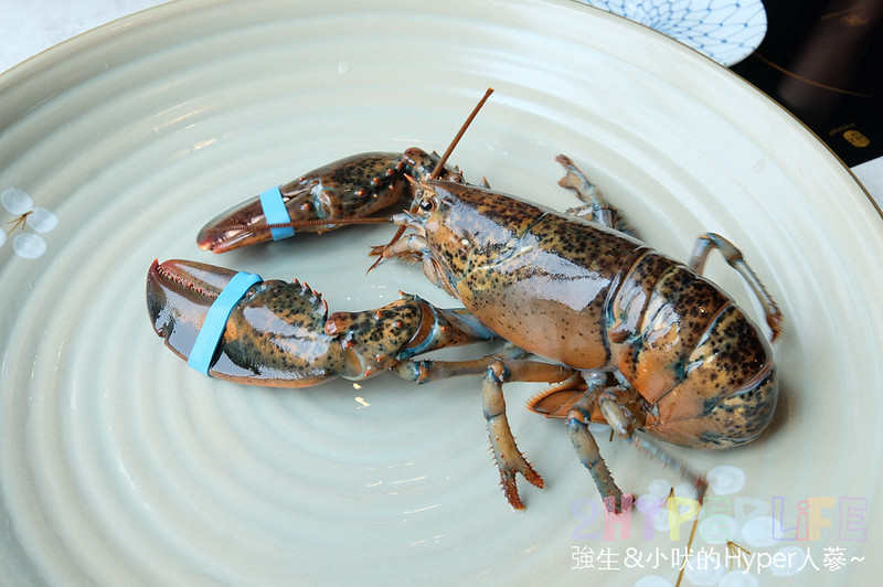 個人小火鍋,台中夜景餐廳推薦,台中東海火鍋推薦,台中沙鹿火鍋推薦,台中涮涮鍋,台中涮涮鍋推薦,台中火鍋,台中美食,崧shabushabu,崧價格,崧火鍋,東海夜市必吃,東海美食推薦 @強生與小吠的Hyper人蔘~
