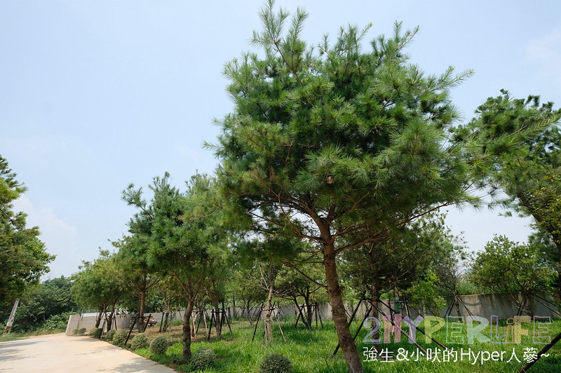 個人小火鍋,台中夜景餐廳推薦,台中東海火鍋推薦,台中沙鹿火鍋推薦,台中涮涮鍋,台中涮涮鍋推薦,台中火鍋,台中美食,崧shabushabu,崧價格,崧火鍋,東海夜市必吃,東海美食推薦 @強生與小吠的Hyper人蔘~