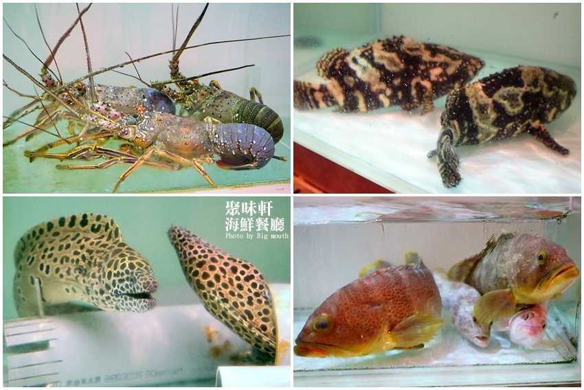 【澎湖美食】澎湖福朋喜來登飯店．聚味軒海鮮中餐廳，在地美味推薦!