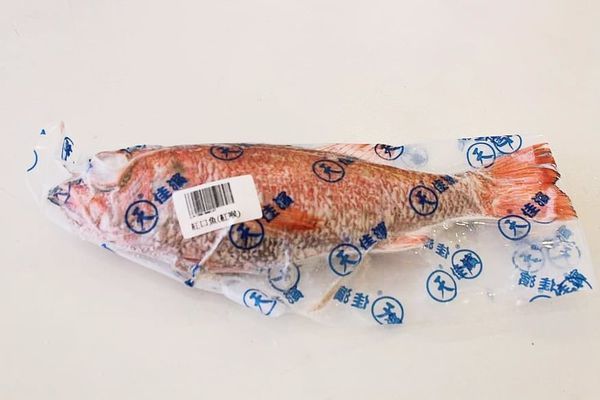 67947366_401999920458495_2679236436451917824_n