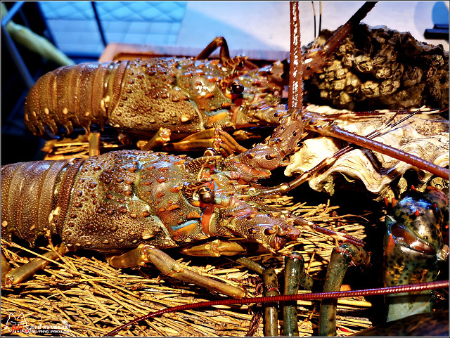 山上走走 - 031.jpg