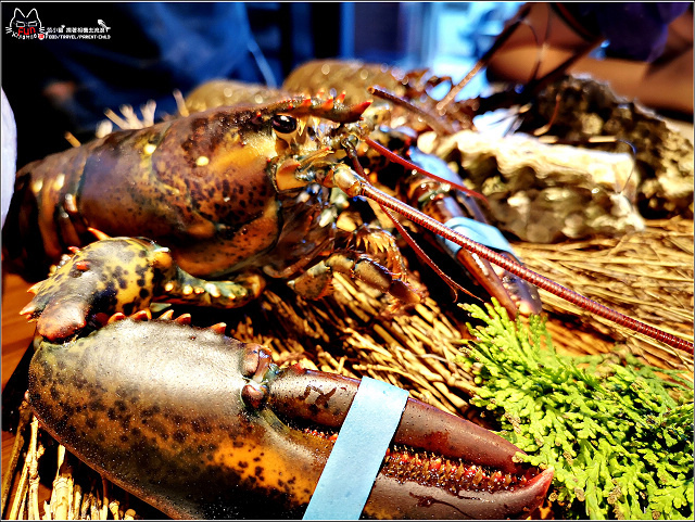 山上走走 - 033.jpg