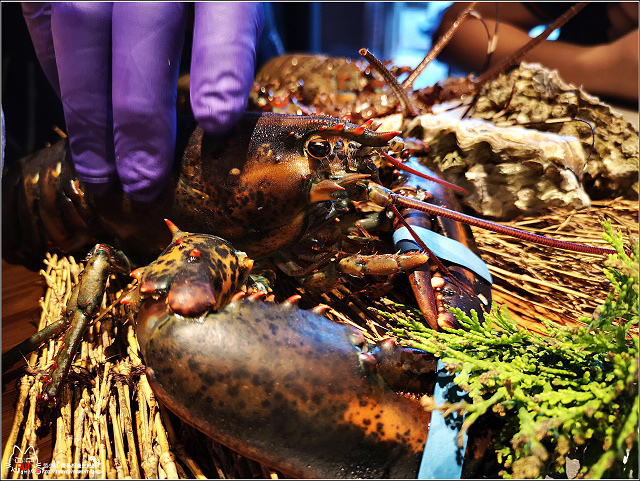 山上走走 - 032.jpg